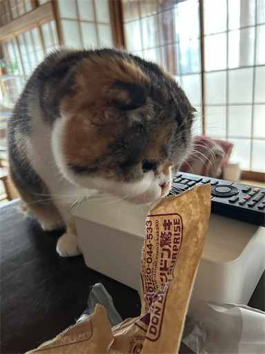 f:id:hazakura60:20250419215014j:image f:id:hazakura60:20250419215014j:image