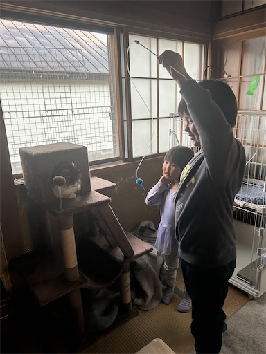 f:id:hazakura60:20250424201341j:image f:id:hazakura60:20250424201341j:image