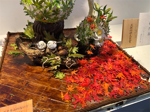f:id:hazakura60:20250609201257j:image