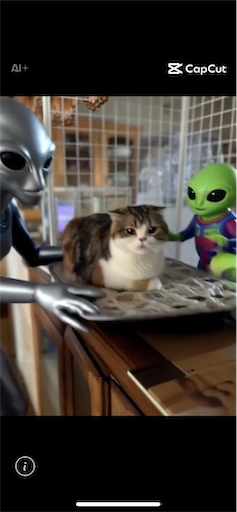 f:id:hazakura60:20250726193113p:image