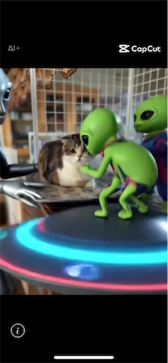 f:id:hazakura60:20250726193152p:image