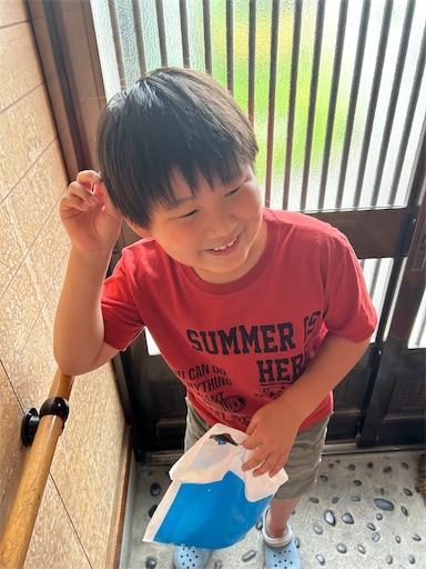f:id:hazakura60:20250803204831j:image