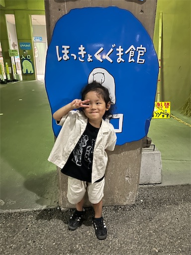 f:id:hazakura60:20250814222953j:image