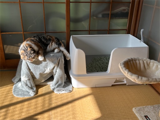 f:id:hazakura60:20250828201250j:image