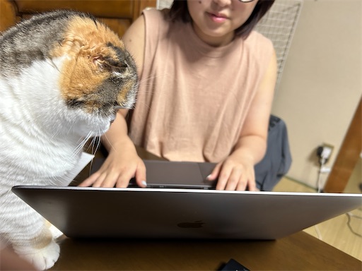 f:id:hazakura60:20250831193531j:image