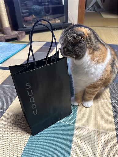 f:id:hazakura60:20250913215403j:image