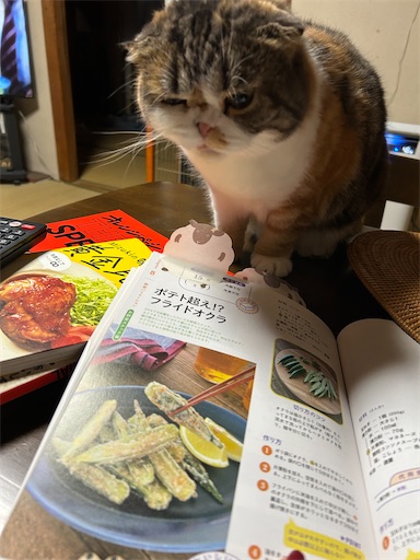 f:id:hazakura60:20250916182935j:image