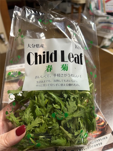 f:id:hazakura60:20250924193226j:image