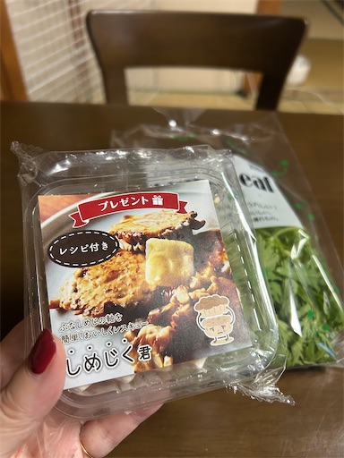 f:id:hazakura60:20250924210927j:image