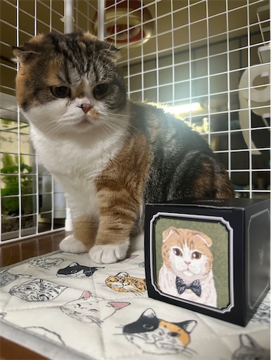 f:id:hazakura60:20251021221208j:image