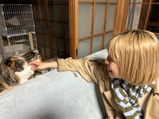 f:id:hazakura60:20251023201230j:image