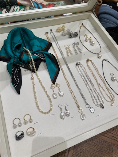 f:id:hazakura60:20251103205738j:image