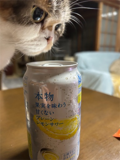 f:id:hazakura60:20251126191623j:image