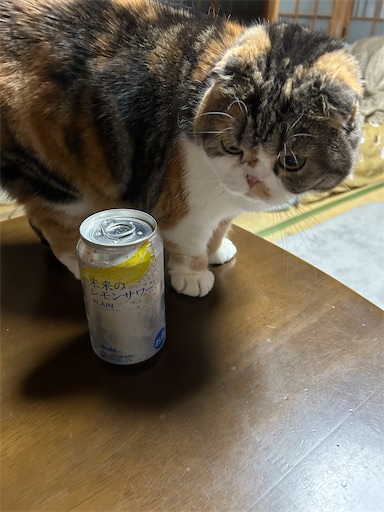 f:id:hazakura60:20251126191819j:image