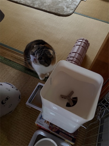 f:id:hazakura60:20260407194717j:image