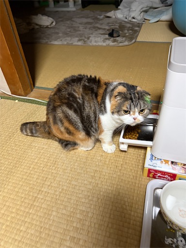 f:id:hazakura60:20260411192521j:image