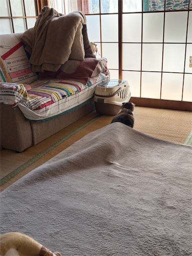f:id:hazakura60:20260420200554j:image