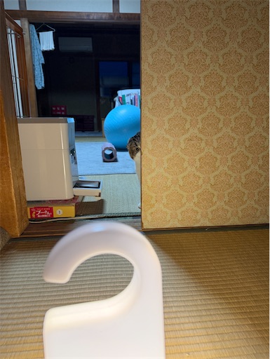f:id:hazakura60:20260423190132j:image
