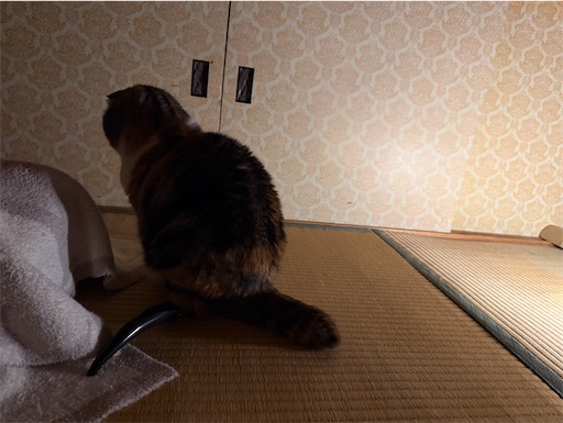 f:id:hazakura60:20260426215550j:image