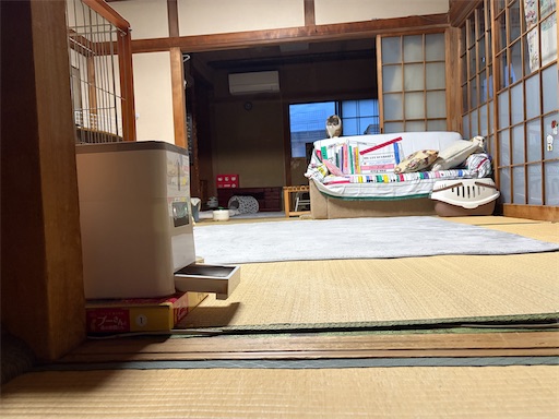 f:id:hazakura60:20260503184251j:image f:id:hazakura60:20260503184251j:image