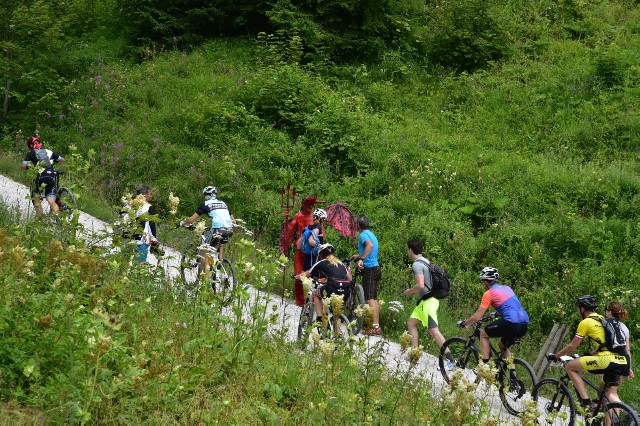 f:id:hazimayo:20180716215543j:image