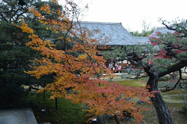 f:id:hazimete:20161211203552j:image