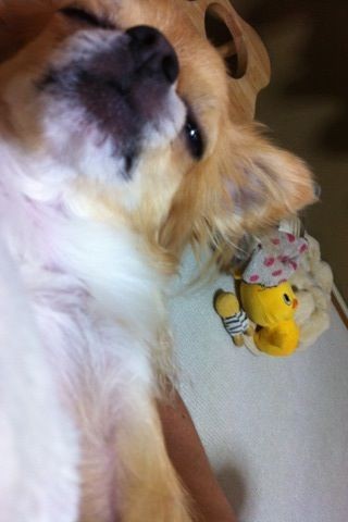 f:id:hazu12_30:20120930190527j:image:left