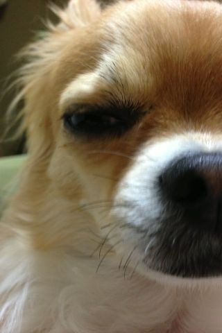 f:id:hazu12_30:20121218083515j:image:left