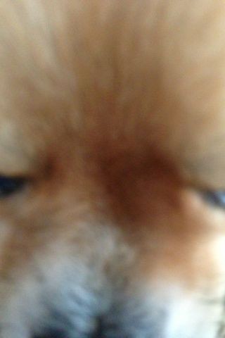 f:id:hazu12_30:20121220011627j:image:left
