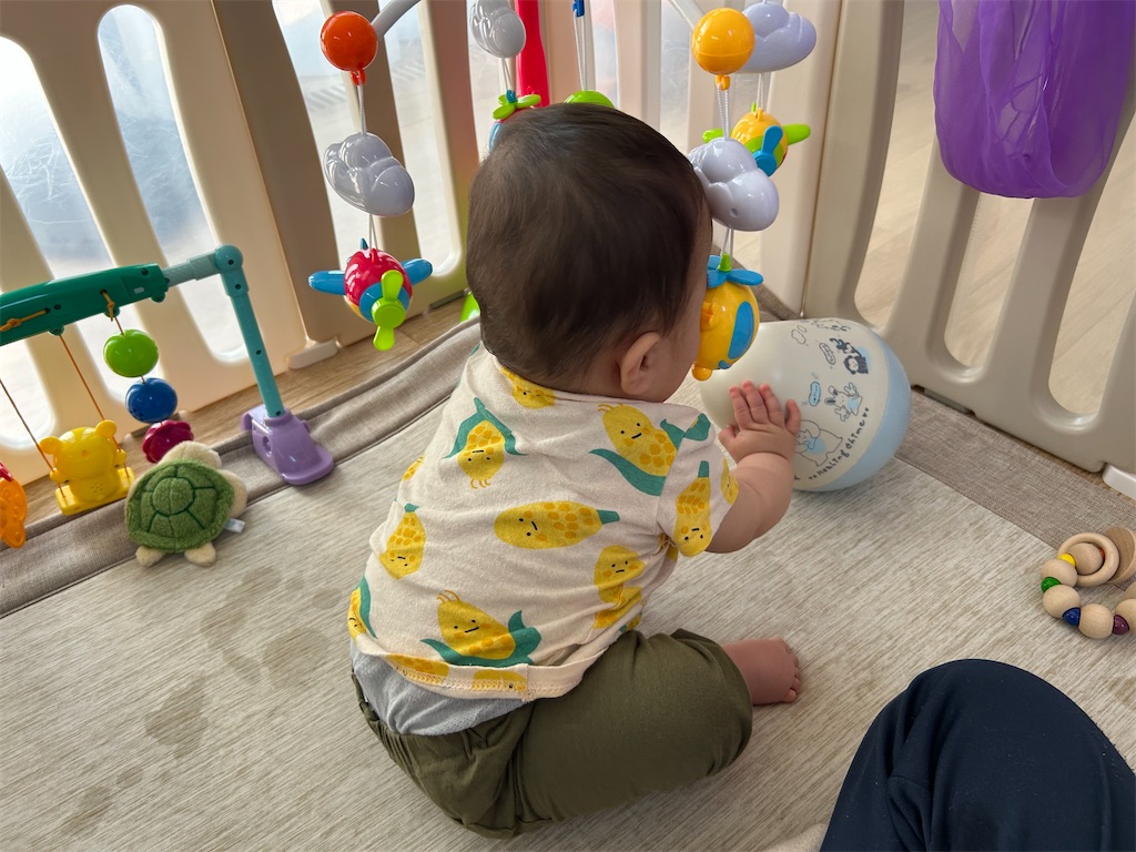 f:id:hazublog:20250514205151j:image