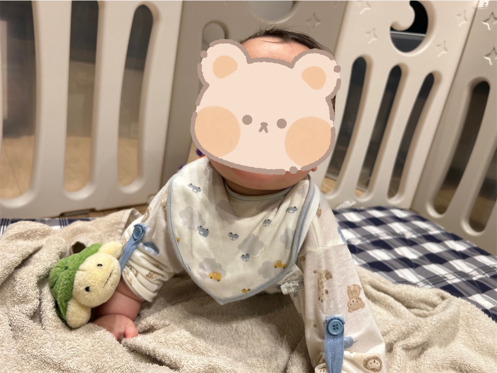 f:id:hazublog:20250514205220j:image