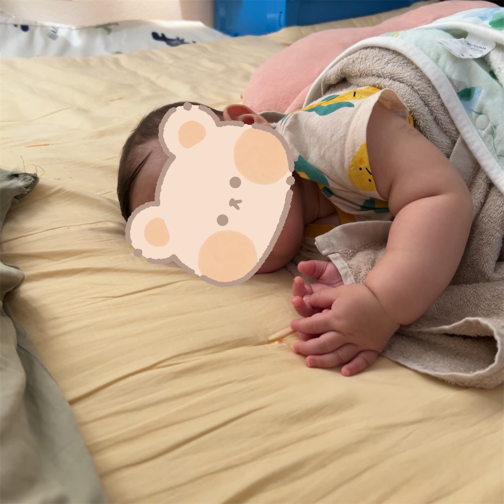 f:id:hazublog:20250520094432j:image