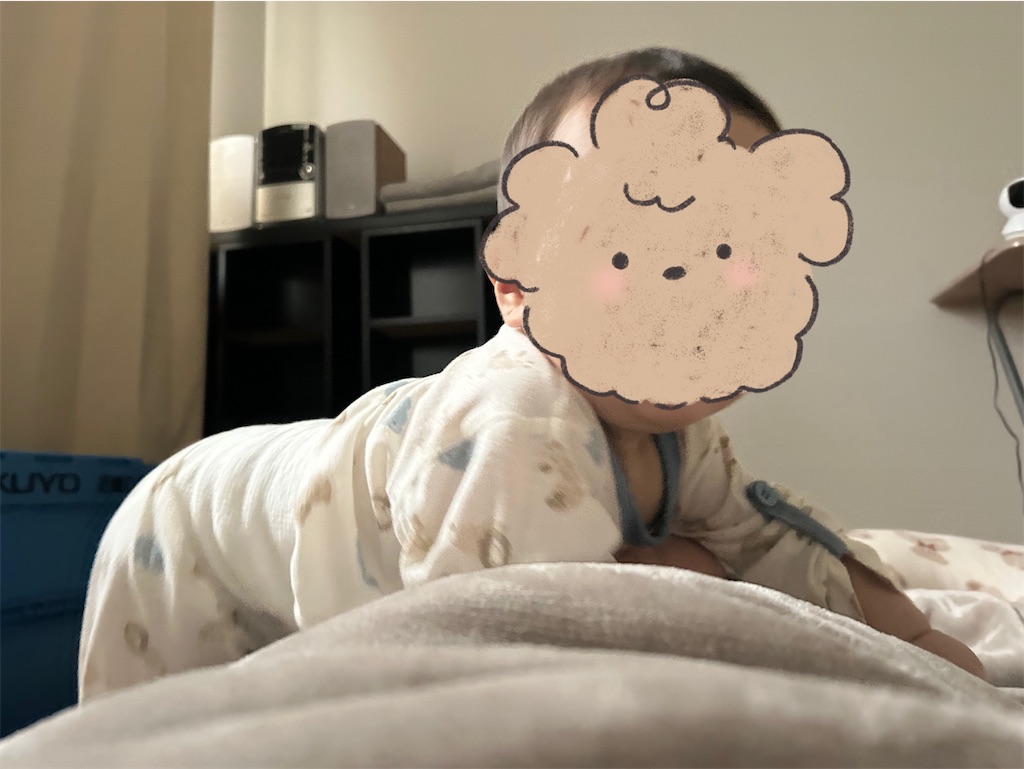 f:id:hazublog:20250526165930j:image