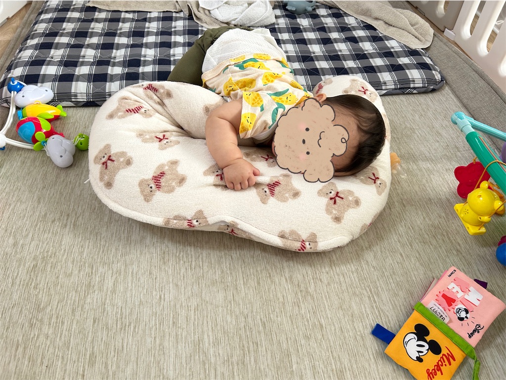 f:id:hazublog:20250529160903j:image