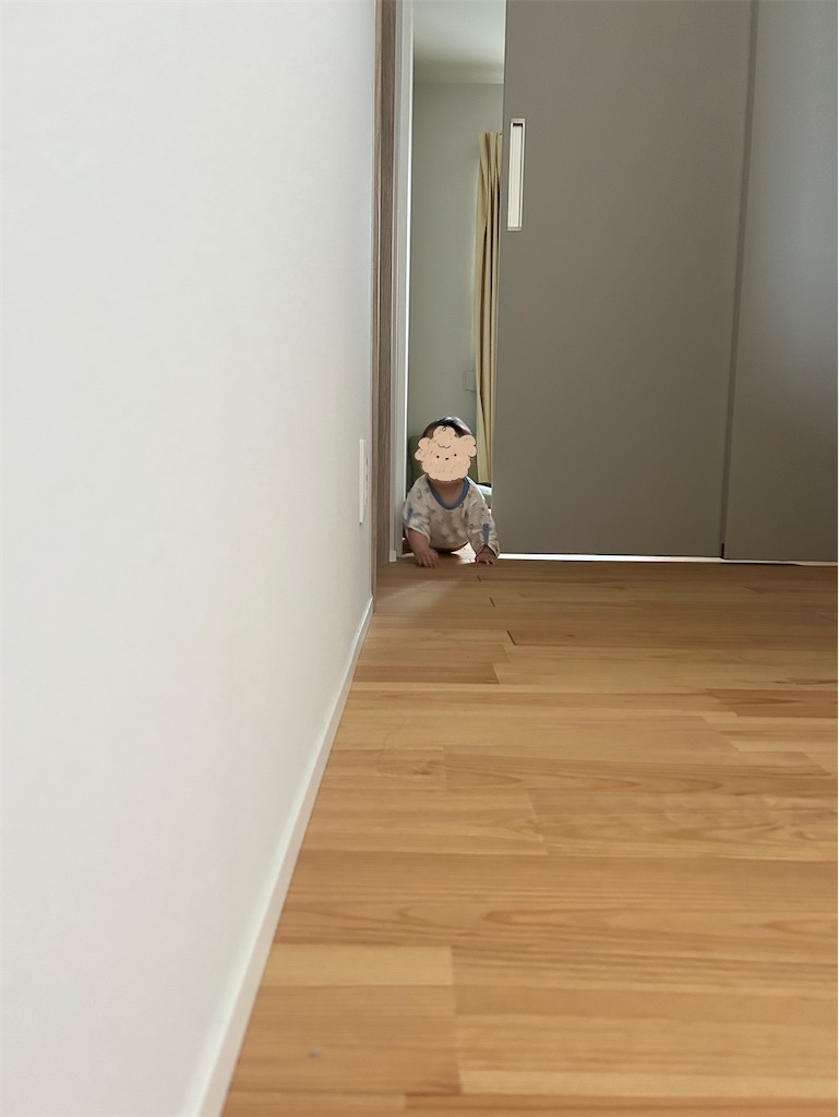 f:id:hazublog:20250529160920j:image