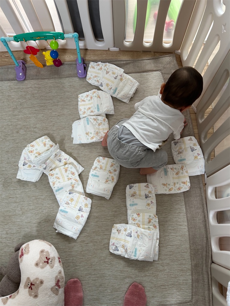 f:id:hazublog:20250603085437j:image