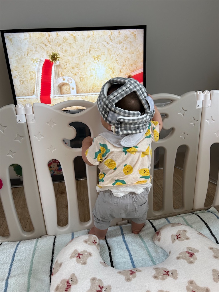 f:id:hazublog:20250604212310j:image