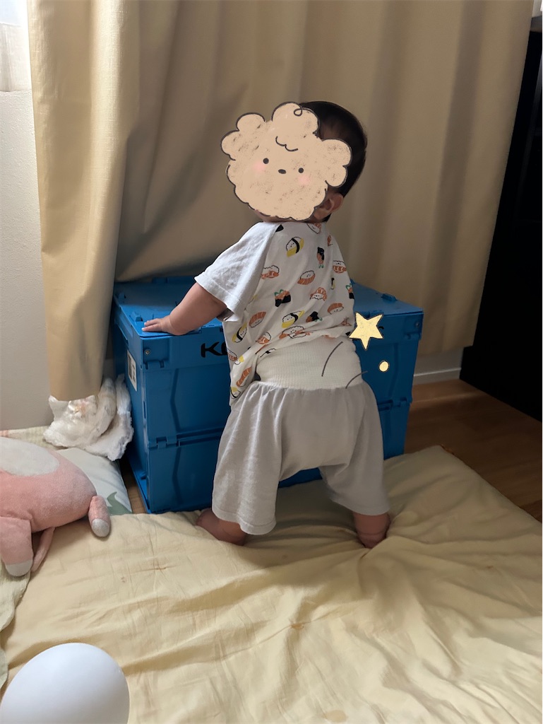 f:id:hazublog:20250604212520j:image