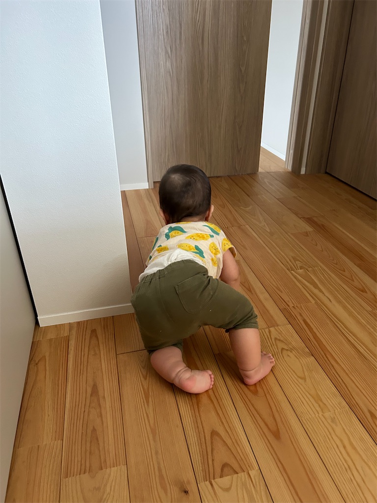 f:id:hazublog:20250604212621j:image