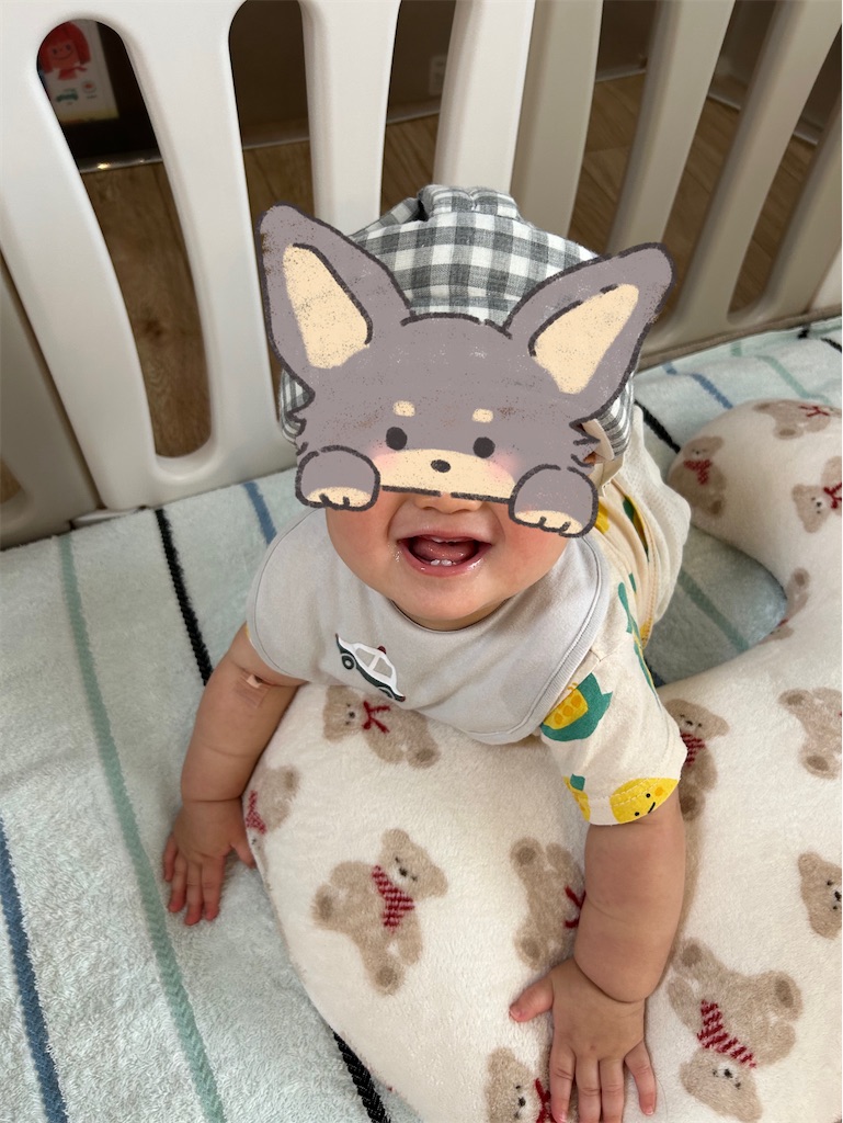 f:id:hazublog:20250604212849j:image