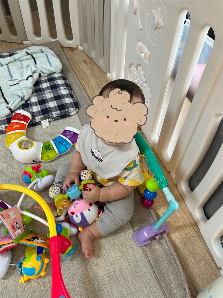 f:id:hazublog:20250604213031j:image