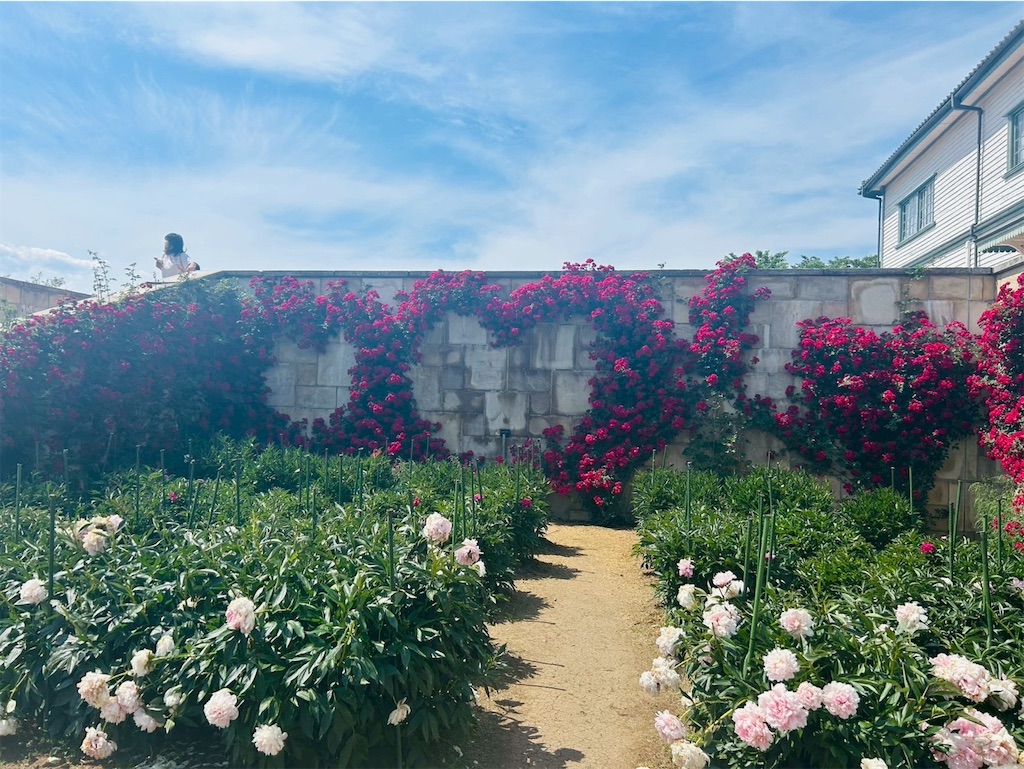 f:id:hazublog:20250608105710j:image