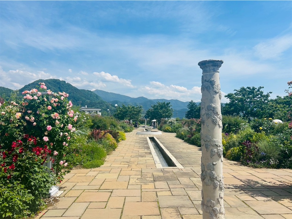 f:id:hazublog:20250608105714j:image