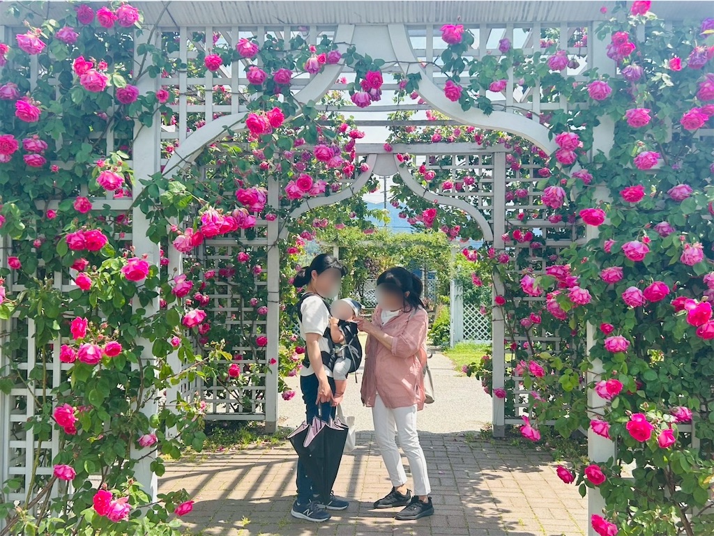 f:id:hazublog:20250608105857j:image