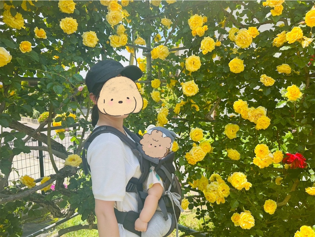 f:id:hazublog:20250608105901j:image