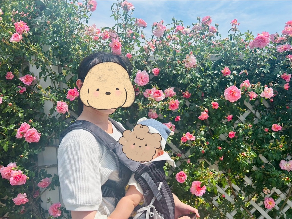 f:id:hazublog:20250608110236j:image