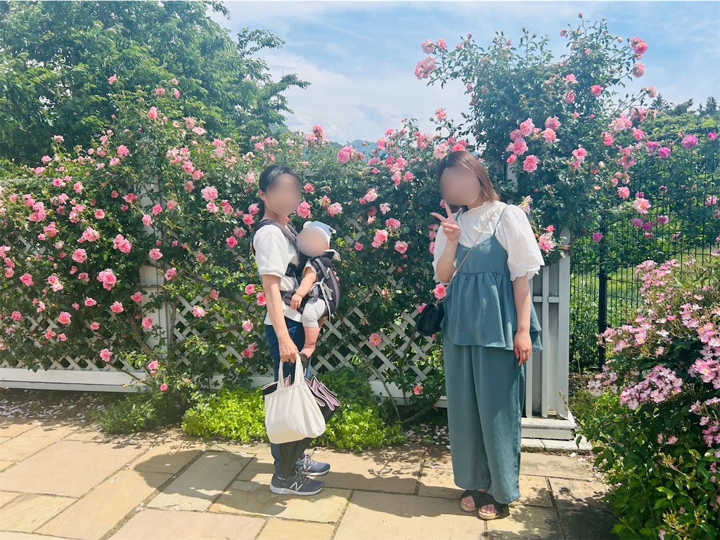 f:id:hazublog:20250608110240j:image