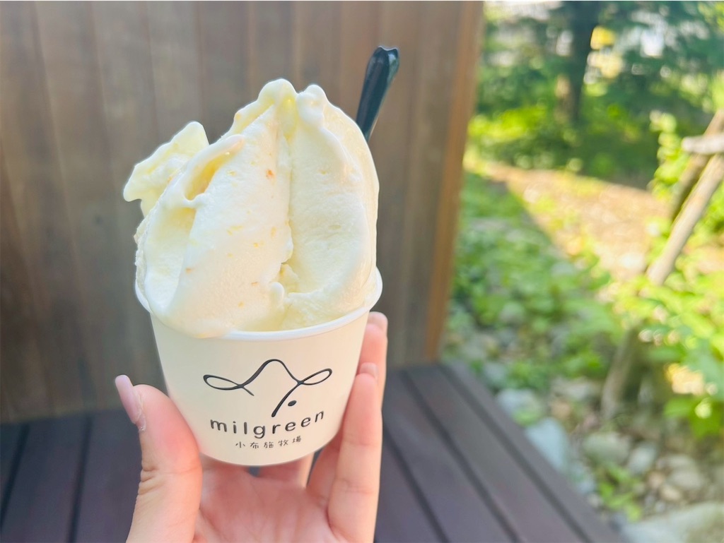 f:id:hazublog:20250608110553j:image