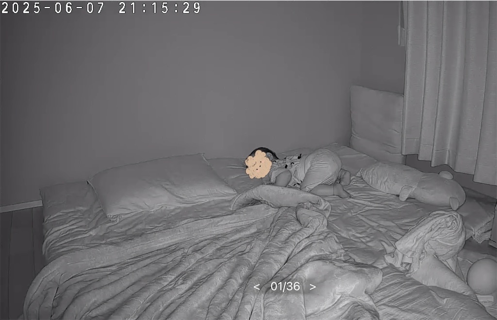 f:id:hazublog:20250608111753j:image