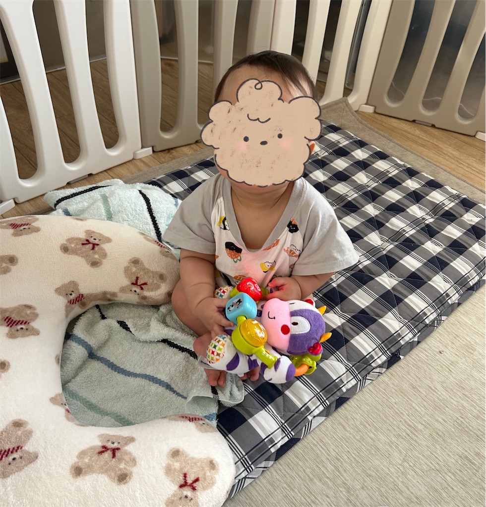 f:id:hazublog:20250621211046j:image